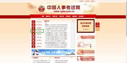 2025年護士資格電子證書打印入口及信息技術咨詢服務指南