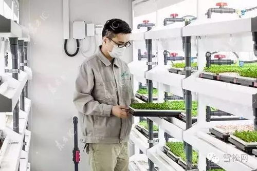 物聯網技術在植物工廠的應用