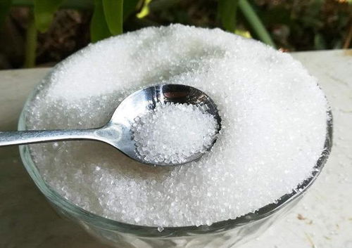 養花5種 生根劑 ,路邊撿一把,扦插泡一泡,大白根噌噌往外冒