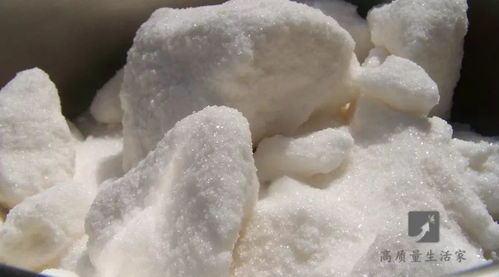 白糖生吃需謹慎 運輸環節的微生物風險不可忽視